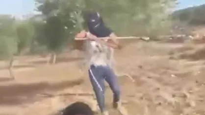 حمله شهرک&zwnj;نشین صهیونیست به یک زن فلسطینی