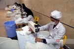 تولید ماسک