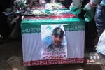 دبب