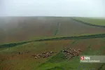 مه 