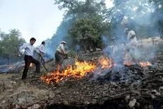 وقوع حریق در اراضی جنگلی ۵ شهرستان گیلان