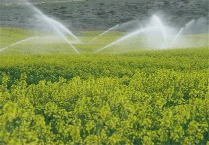 هدف&zwnj;گذاری بیش ۱۲۰۰ طرح اشتغال&zwnj;زایی در استان خوزستان طی سال جاری