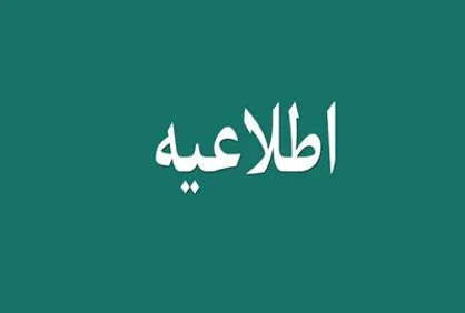 ممیزی اطلاعات مالی توسط نیروی انسانی انجام نمی&zwnj;شود