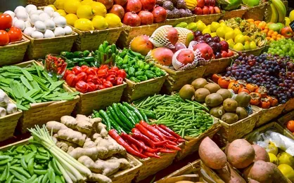 خواهان واردات محصولات کشاورزی از ایران هستیم
