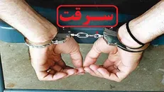 افزایش ۱۵ درصدی کشفیات سرقت در دامغان/ کشف ۹۸ درصدی پرونده‌های ارجاعی به پلیس فتا