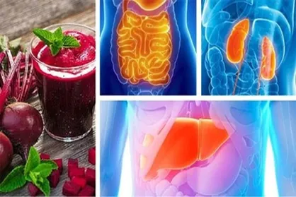 &laquo;رژیم ۵ روزه غذایی&raquo; برای پاکسازی بدن