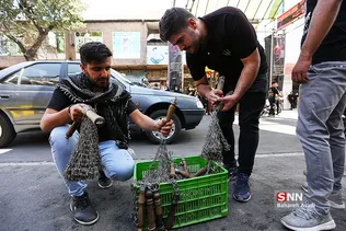 هیئت متوسلین به حضرت زهرا