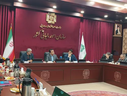 افشین: سازمان امور مالیاتی پیشتاز تحول دیجیتال کشور می&zwnj;شود