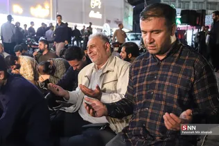 دبب