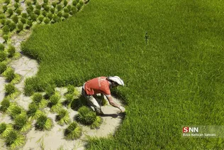 35435