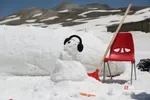 دبب