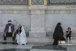 زائر