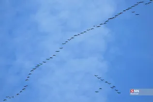 435345
