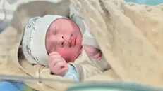 تولد ۸۰۴ نوزاد؛ ثمره فعالیت مراکز نفس در گلستان