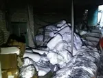 آتش نشانی