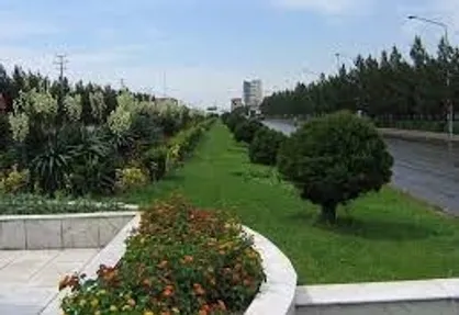 بصیری: طرح جامع فضای سبز تهران تا یک ماه آینده به پایان می&zwnj;رسد