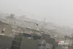 یبت