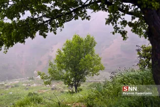 مه 