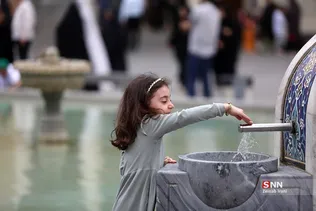 دبب