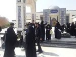 اعزام کاروان پیاده روی دانشجویی دانشگاه علوم پزشکی هرمزگان به اربعین حسینی