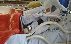 سگ کودک ۵ ساله را در بویین زهرا درید