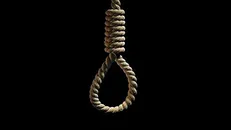 حکم قصاص قاتل پزشک یاسوجی در ملاء عام اجرا شد