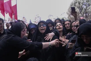 دبب