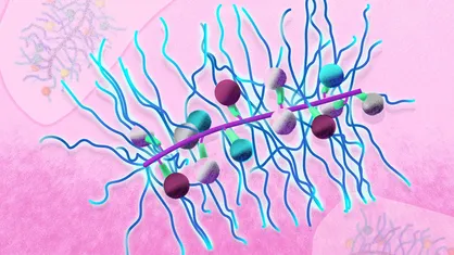 هدف قرار دادن سرطان با یک نانوذرات بُرس&zwnj;مانند، حاوی چند دارو
