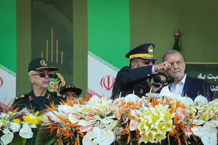 دبب