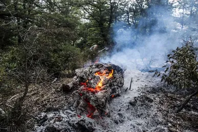 آتش‌سوزی ۱۵ هکتار مزرعه گندم در کرمانشاه