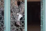 دانشگاه شریف