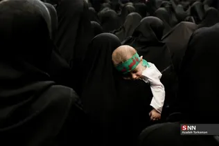 دبب