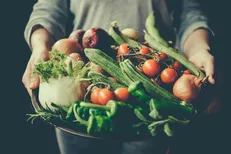 فناوری نانو تازگی غذا‌ها را با گوشی هوشمند خبر می‌دهد