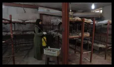 اشتغال‌زایی حمایتی برای مردم زلزله‌زده‌ی کرمانشاه توسط بنیاد برکت