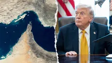 تحلیلگر مسائل سیاسی: مشاوران ترامپ به او هشدار دادند که هرچه سریعتر از ایران خارج شود + فیلم