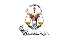رئیس سازمان زندانها: امیدواریم با ورود ستاد اجرایی، شاهد خالی شدن زندان‌ها از زندانیان جرایم غیرعمد باشیم