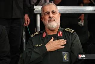 دبب
