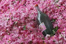 رفع سوزش و خارش پوست با استفاده از گلاب