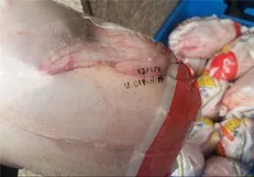 جهاد کشاورزی: مرغ ۷۵۰۰ تومانی منطقی است