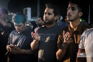 دبب