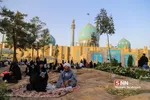 عرفه