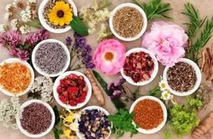 زرگران: خدمات طب ایرانی را وارد بیمارستان&zwnj;ها نکردیم که بخواهیم آن را حذف کنیم