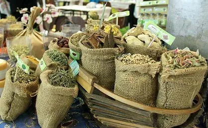 رشد صنعت گیاهان دارویی؛ طرح&zwnj;های نوآورانه سرمایه جذب می&zwnj;کنند