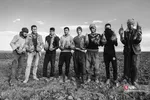 دبب