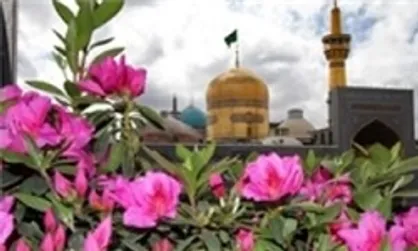 حرم نورانی امام رضا (ع) گلباران می&zwnj;شود