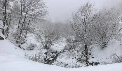 ثبت رکورد&zwnj;های جدید بارشی در رشت و آستارا