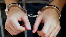 بازرس قلابی وزارت بهداشت دستگیر شد