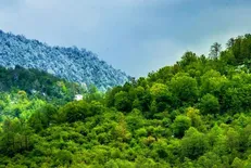 طرح حفاظت از جنگل‌های هیرکانی در دستور کار قاضی‌القضات قرار گرفت