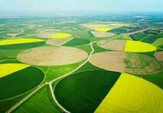 آغاز استیفای ریالی حقوق بیت‌المال در شرکت کشت و صنعت مغان / بازگشت ۷۳ میلیارد تومان در اولین پرونده