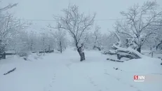 افزایش ۹۶ درصدی بارش‌ها در خراسان جنوبی
